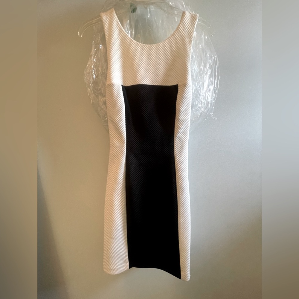Ralph Lauren Color Block Dress